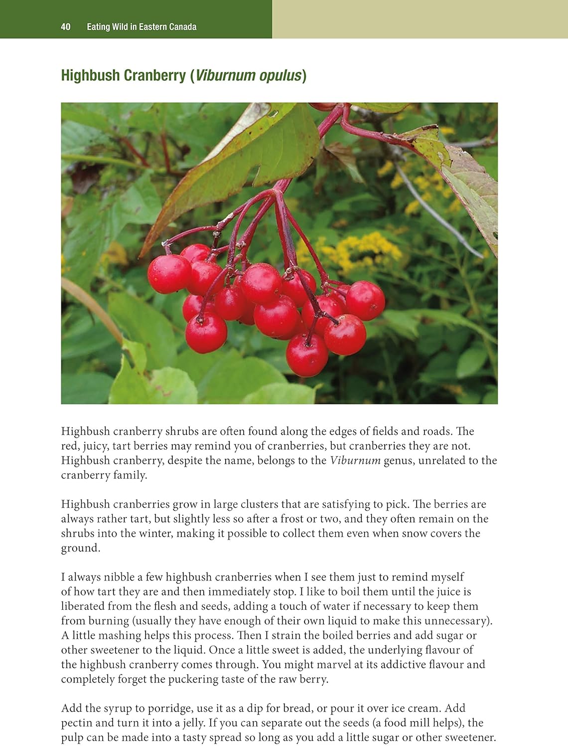 Eating Wild in Eastern Canada - Image 4